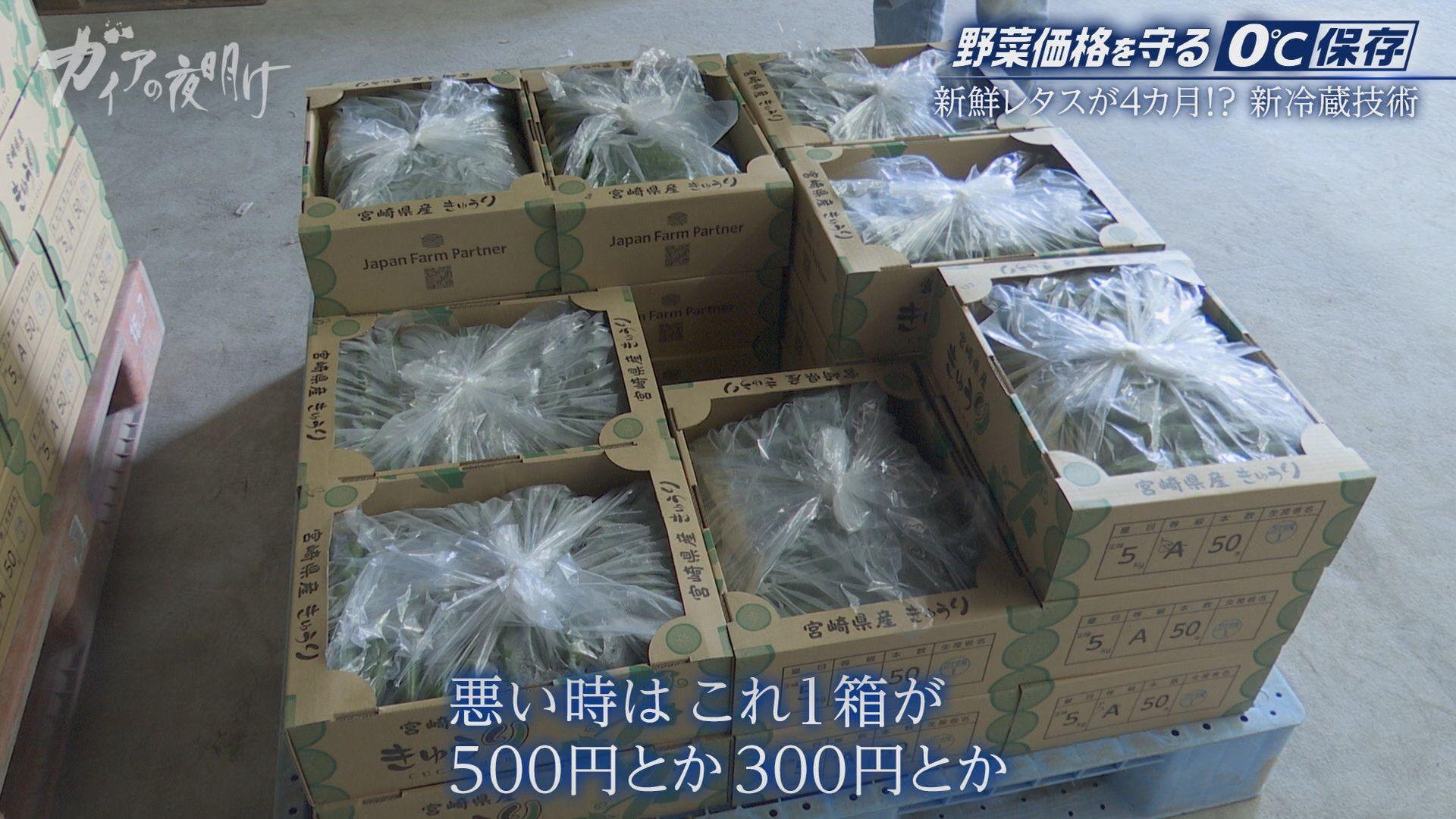 キュウリやトマト…夏野菜が高騰！農家を救う「0℃保存」新冷蔵技術とは