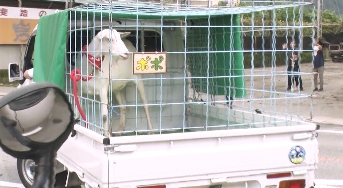 元乃木坂46・西野七瀬合流で、平愛梨がまさかの大号泣！与田祐希との