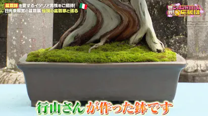 感動】イタリア人が、盆栽鉢作家の窯元で“匠の技”を学ぶ：世界