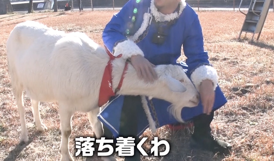 千鳥・大悟「ウチの会社、今大変よ…」ヤギにぼやく！？ムロツヨシも