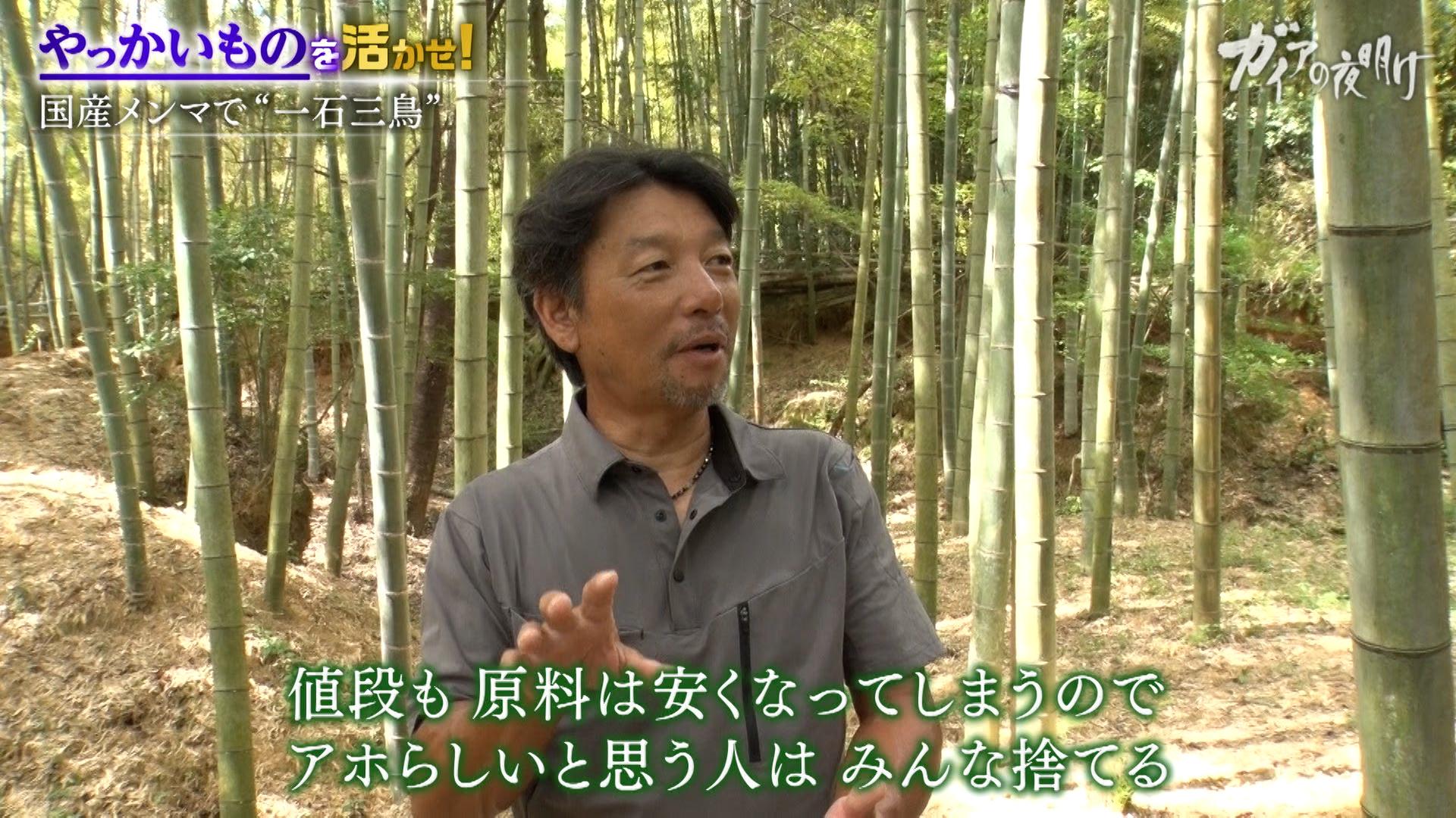 放置竹林が土砂災害のリスクに…秘策は「メンマ」？ラーメンで挑む竹害