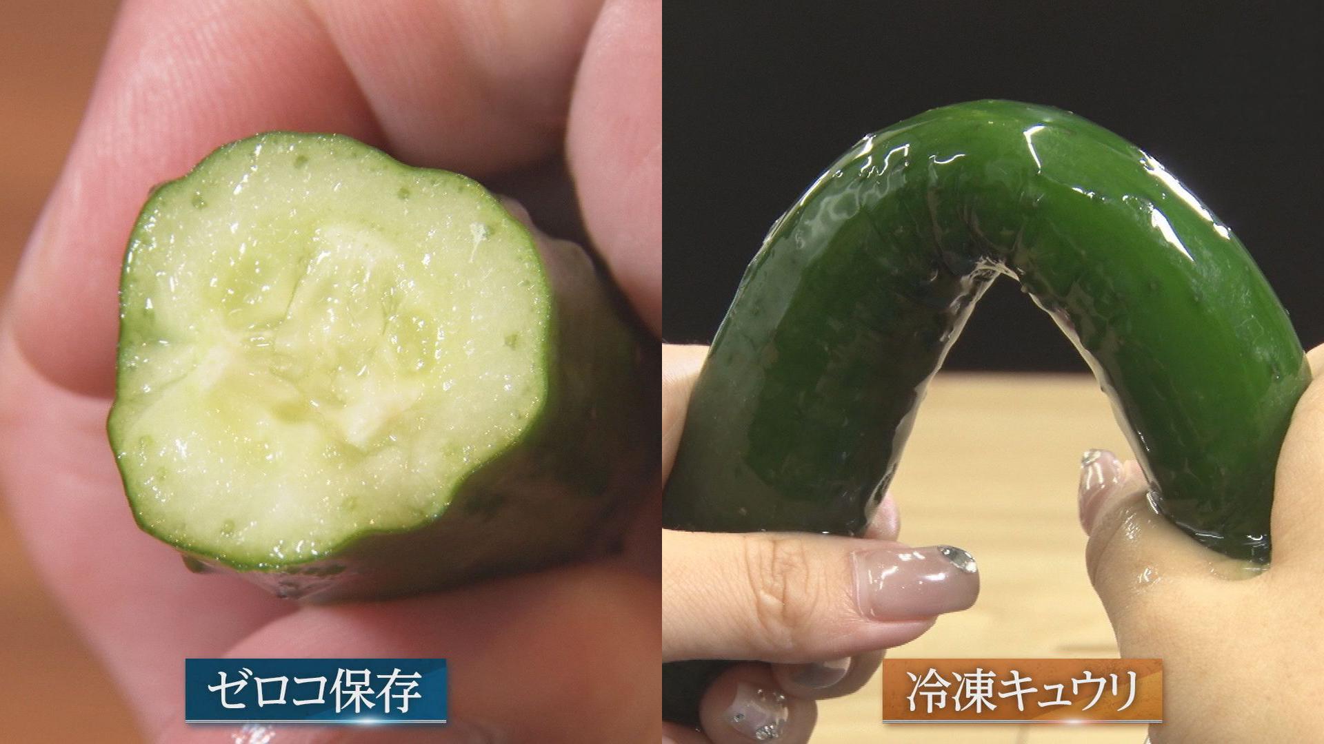 まがったキュウリ キュウリやトマト…夏野菜が高騰！農家を救う「0℃保存」新冷蔵技術とは