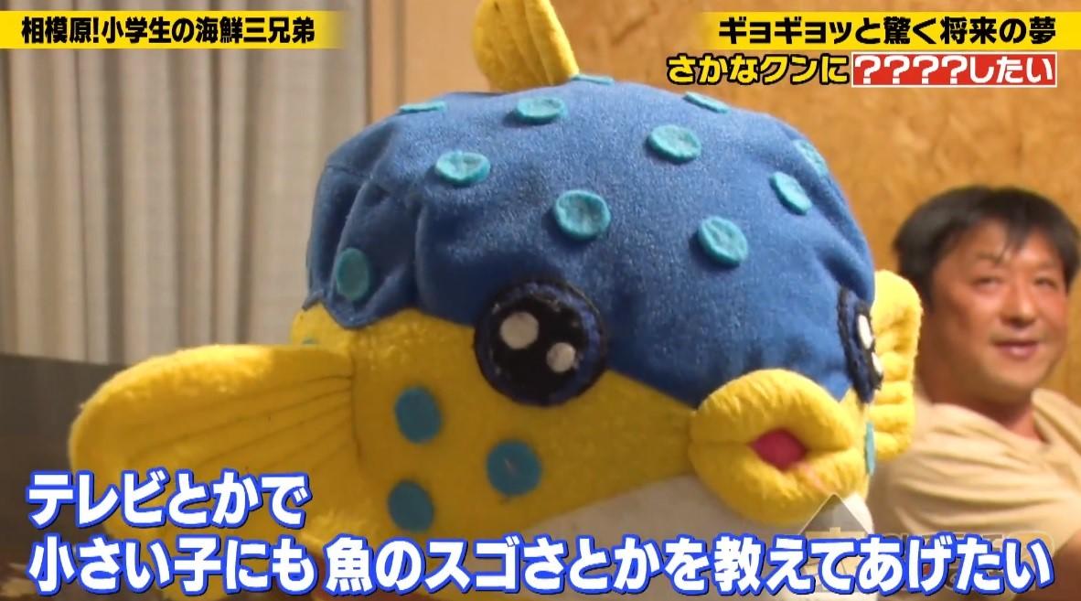 さかなクン顔負け！？魚を捌ける小学生3兄弟。小さな魚博士の野望：家