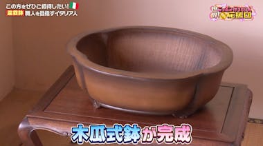 番組史上最大級の進化！盆栽鉢の巨匠に弟子入りしたティベリオさんの今
