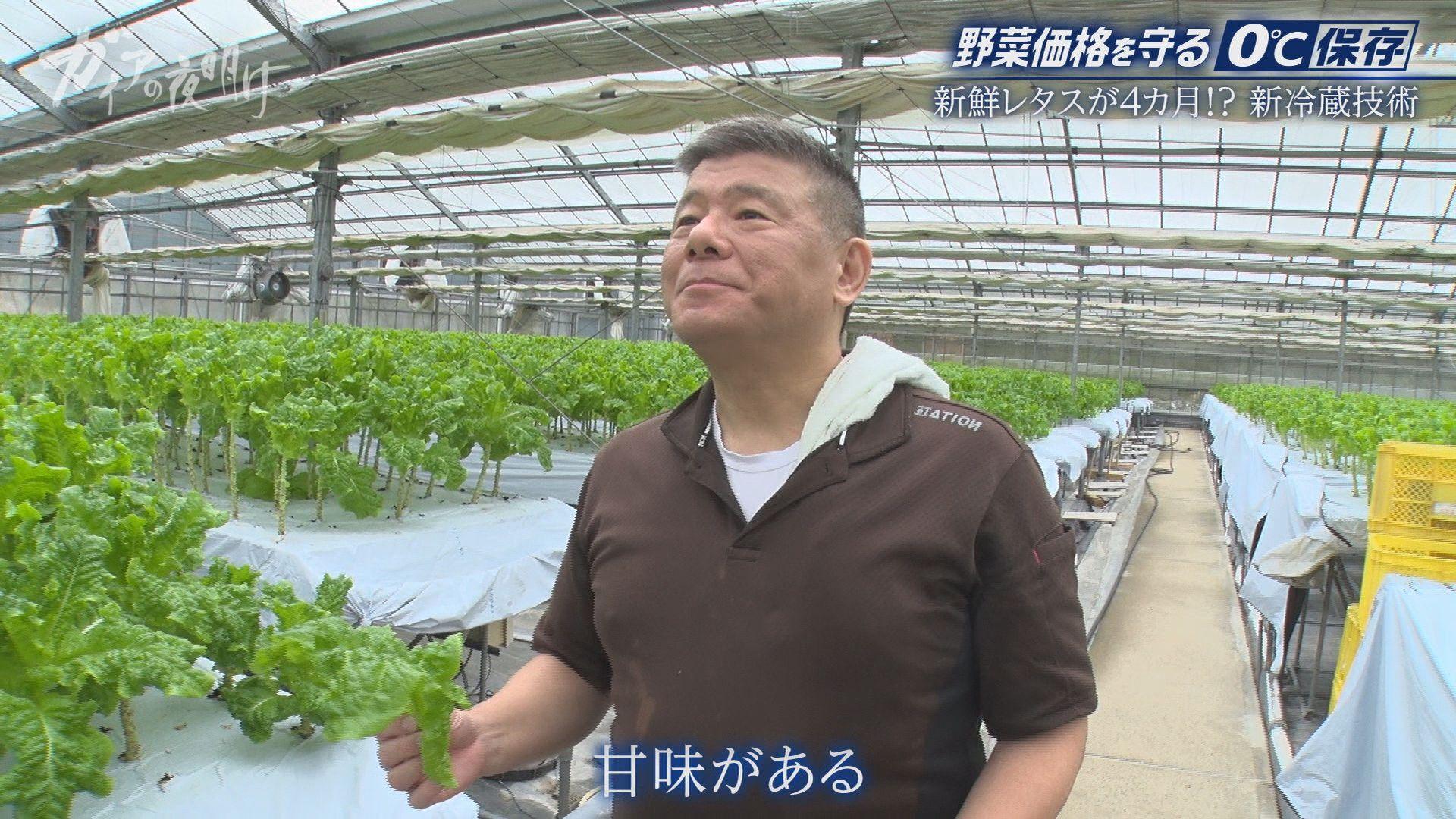 キュウリやトマト…夏野菜が高騰！農家を救う「0℃保存」新冷蔵技術とは