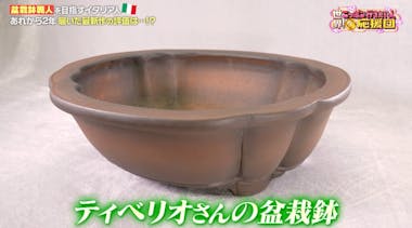 人気作家　陶愛さんの盆栽鉢 陶愛 (@tou.ai.bonsaipot) • Instagram photos and videos 人気作家