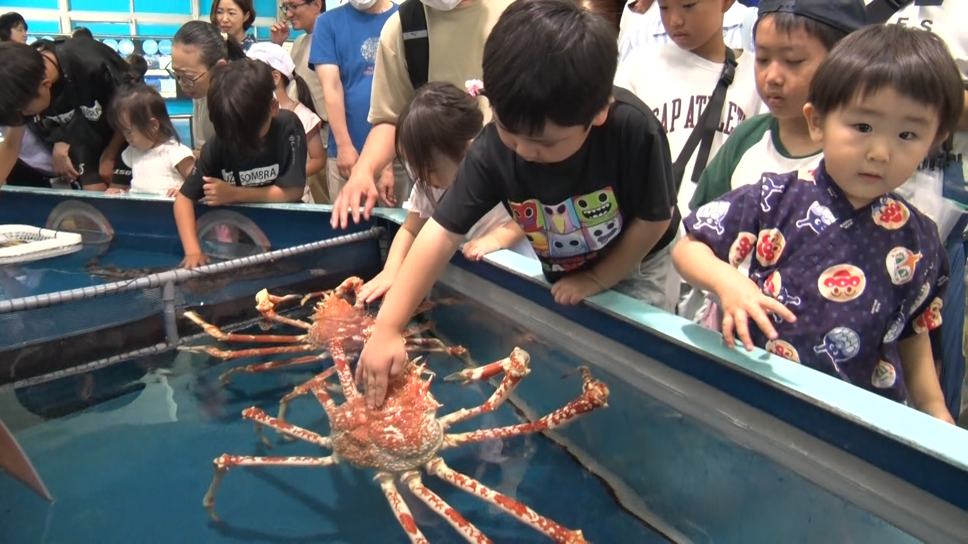 小さな港町にナゼ行列！？廃館危機から大逆転！弱小水族館のサバイバル術：読んで分かる「カンブリア宮殿」 | テレ東・ＢＳテレ東の読んで見て感じるメディア  テレ東プラス