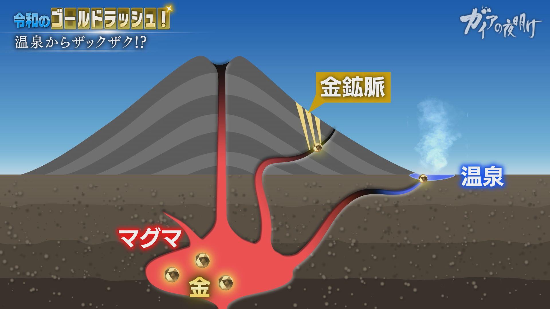 金采皐月（かなり年数持ち込み古い） 34a12609528845cd4b5deb188626.