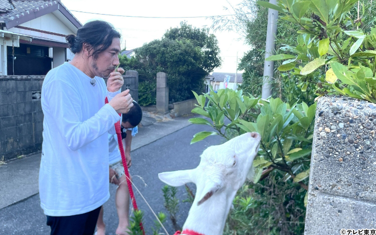 a64bb3154c59e9666d27ac6468cc.