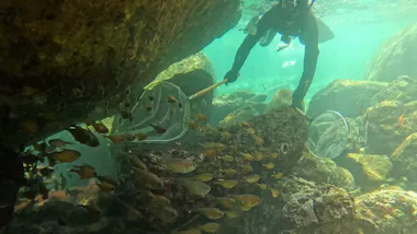 小さな港町にナゼ行列！？廃館危機から大逆転！弱小水族館のサバイバル
