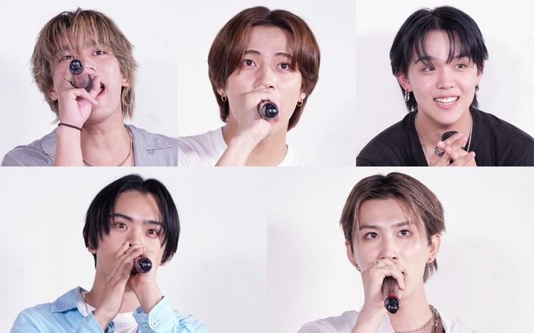 新垣結衣 非売品 特大 タペストリー セット お値段8000円！ ガッキー”史上最高”719カットの写真を収めた規格