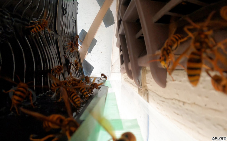 7f8cbe29ef5038a8fc5a59e00ad6.