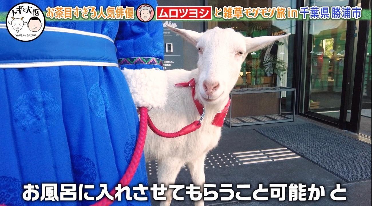 千鳥・大悟＆ムロツヨシが理想のおっさんずデート♡しかし…重大発表に