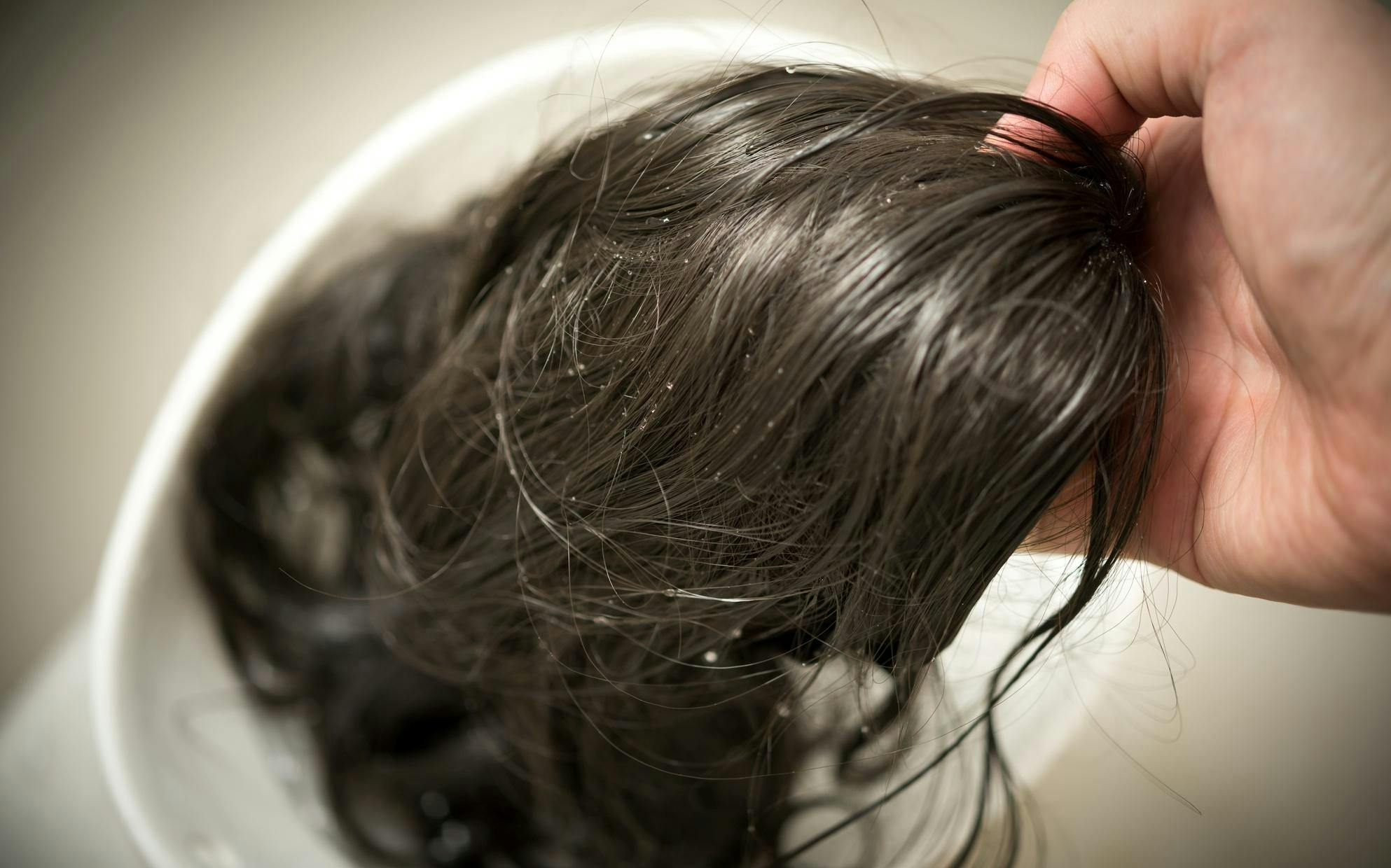 闇深】人毛ビジネス、過激な少子化対策、偽札…北朝鮮の“リアル” | テレ東・ＢＳテレ東の読んで見て感じるメディア テレ東プラス