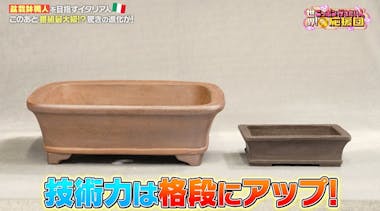 番組史上最大級の進化！盆栽鉢の巨匠に弟子入りしたティベリオさんの今