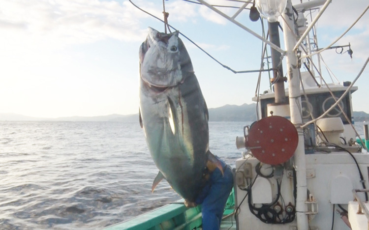 d8c2207e23ae02eb4d15d29d62f4.