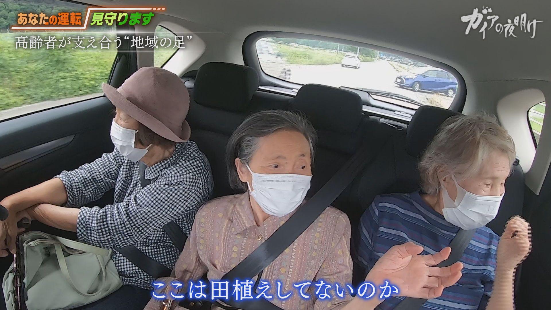 シニアドライバー新時代！高齢者の運転技術を診断する最新アプリ