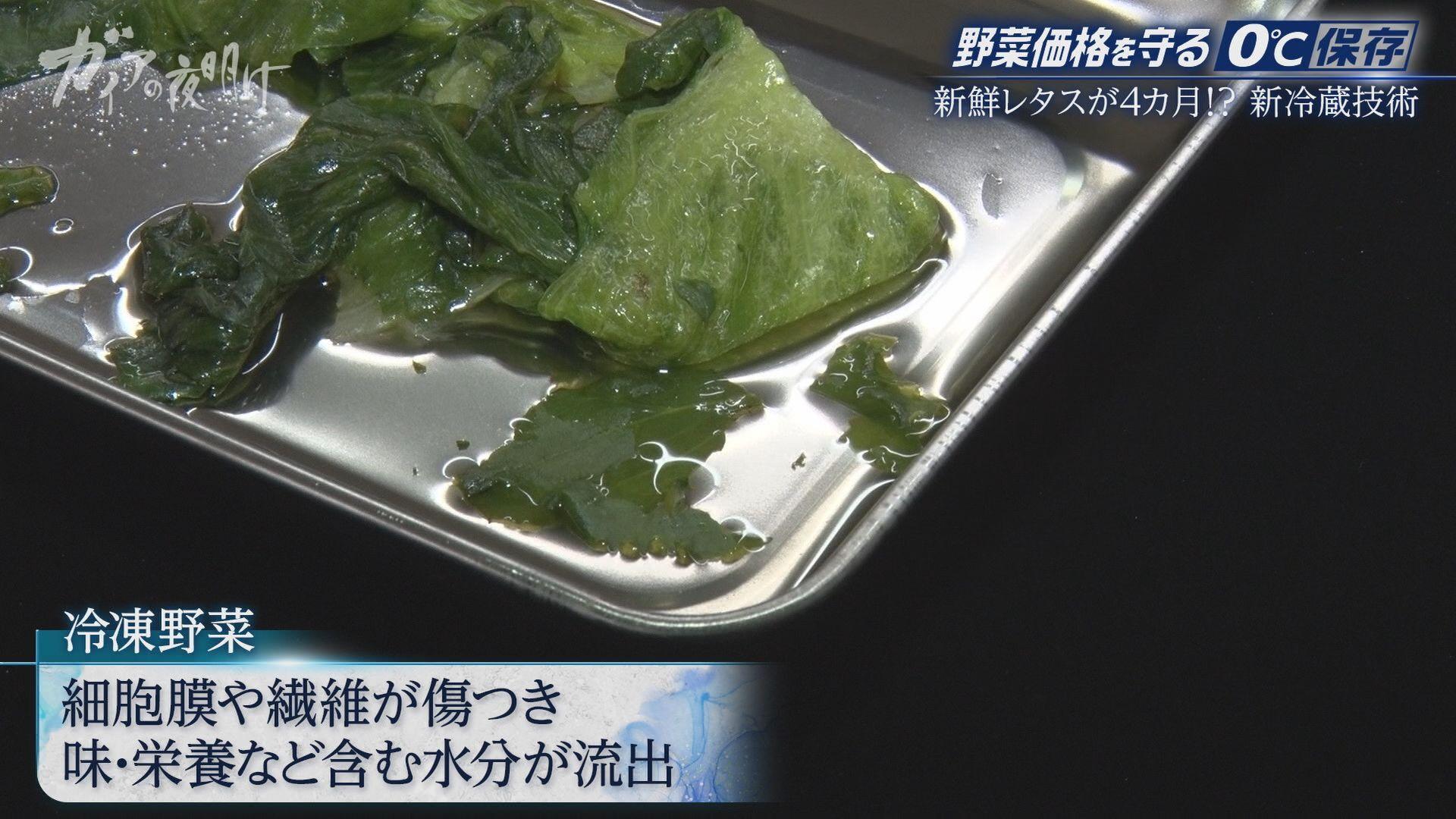 キュウリやトマト…夏野菜が高騰！農家を救う「0℃保存」新冷蔵技術とは