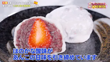 大福」を愛するスペイン人！名店の職人にイチから学ぶ：世界