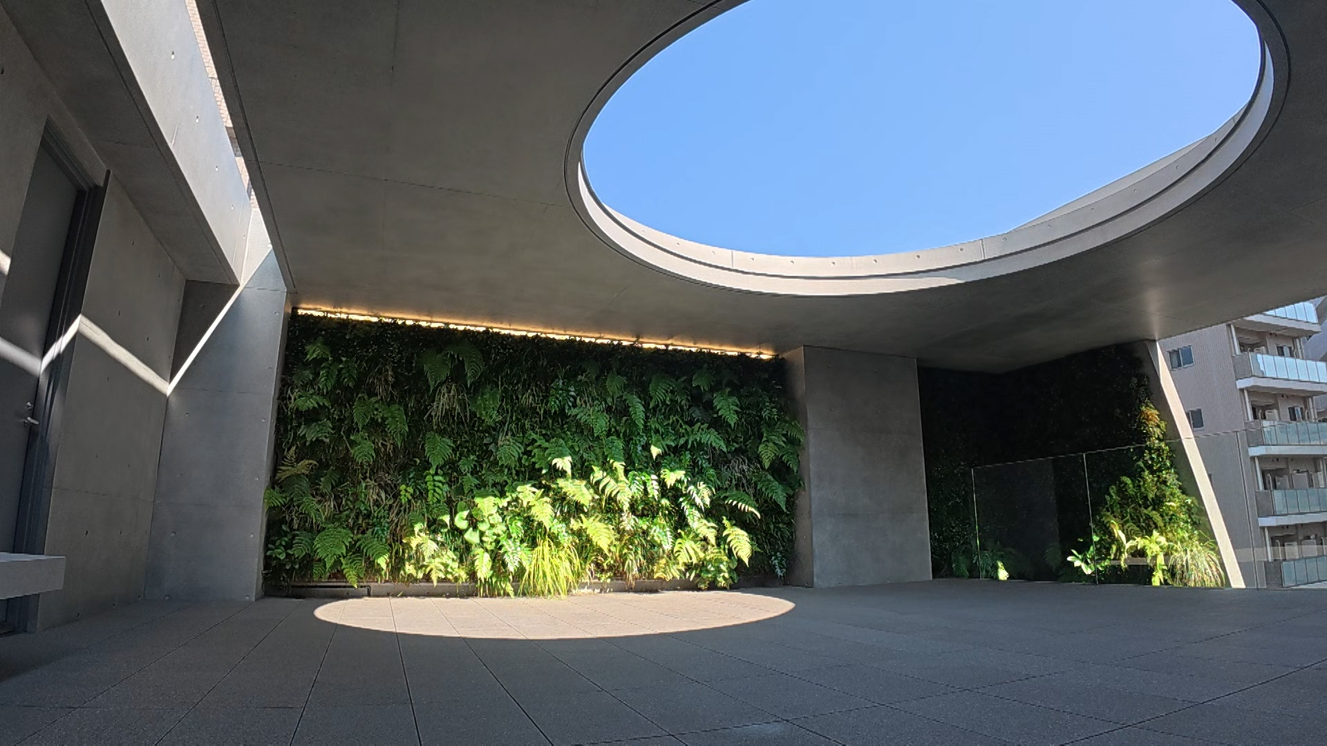 表参道ヒルズからパリの美術館まで！魅了する“安藤建築”の秘密とは