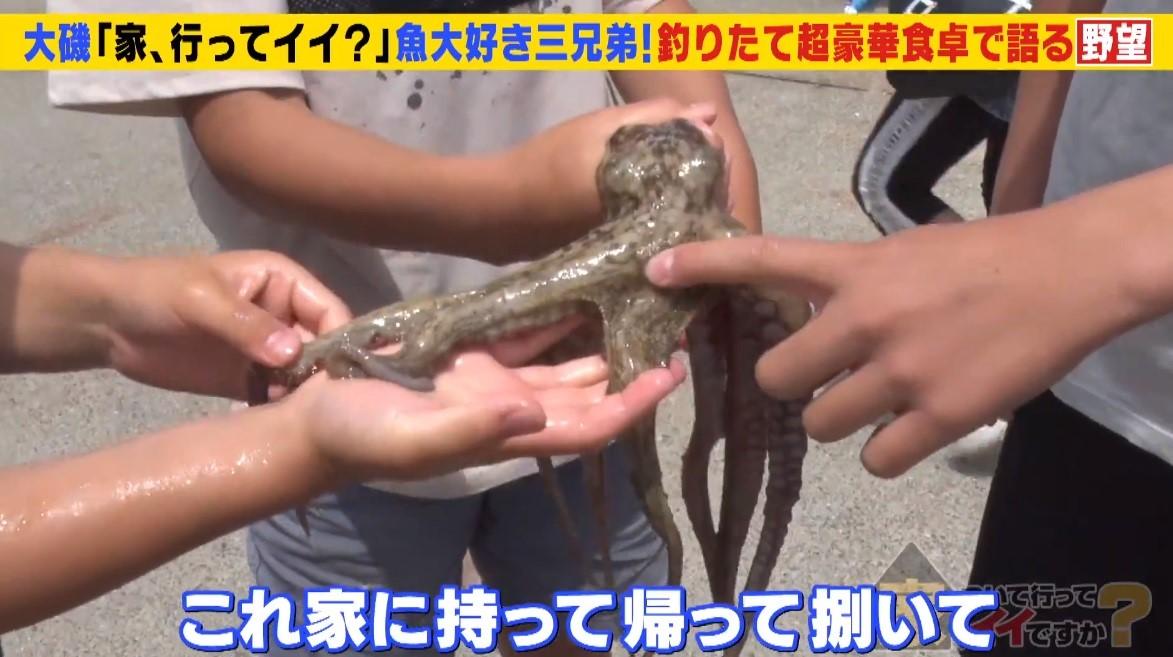 さかなクン顔負け！？魚を捌ける小学生3兄弟。小さな魚博士の野望：家