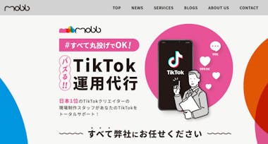 TikTok運用代行会社のおすすめ22選を比較！料金相場と選定ポイントを詳しく解説 | テレ東・ＢＳテレ東の読んで見て感じるメディア テレ東プラス