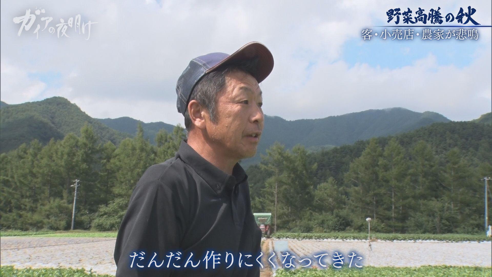 野菜が高騰！】「アキダイ」とレタス農家の挑戦 猛暑の窮地を救う