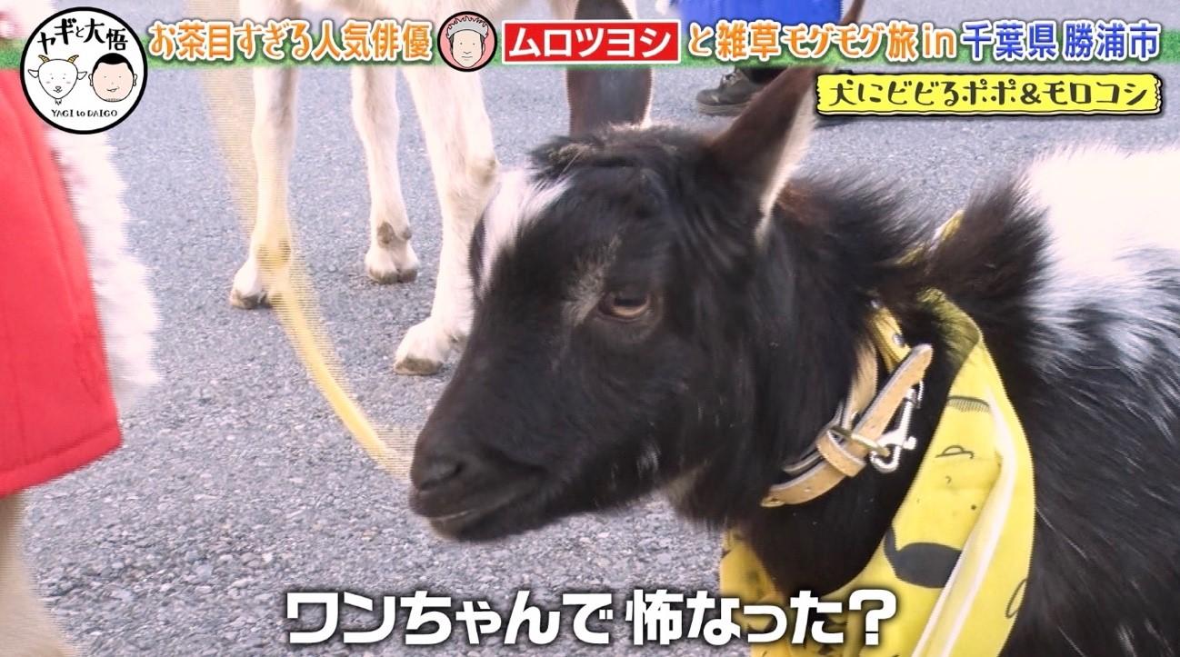 小栗旬くんの家で…」ムロツヨシ、豪華すぎる芸能界交友事情を告白