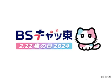 2月22日（木）は猫の日！BSテレ東が「BSキャッ東」に！猫まみれ