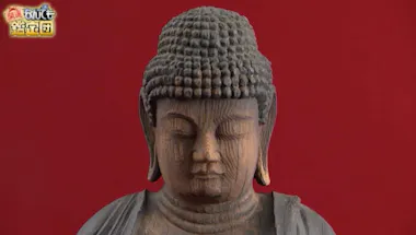 店で出会っちゃった」仏像が【1500万円】の衝撃鑑定！家族からは不評も