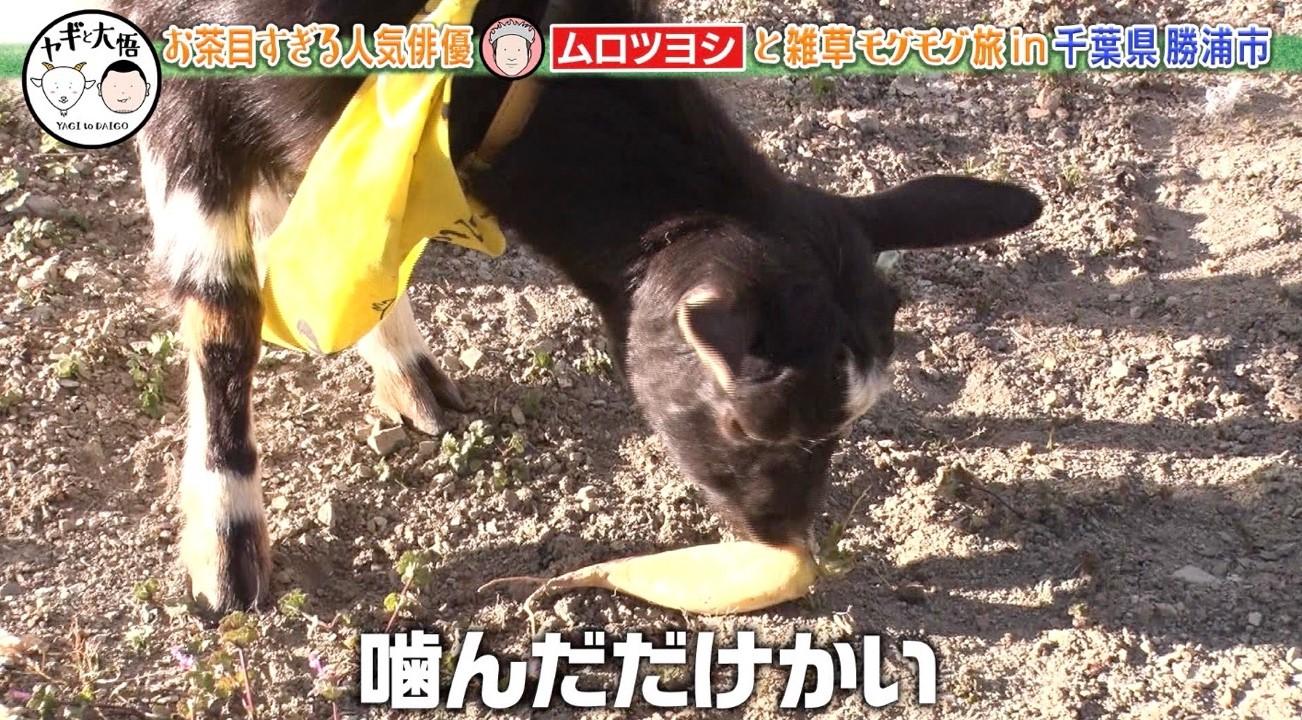 小栗旬くんの家で…」ムロツヨシ、豪華すぎる芸能界交友事情を告白
