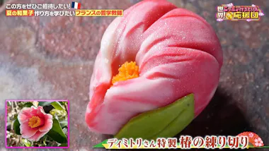 絹と雲の間のような食感”に感動…名店のわらび餅を学ぶ：世界！ニッポン