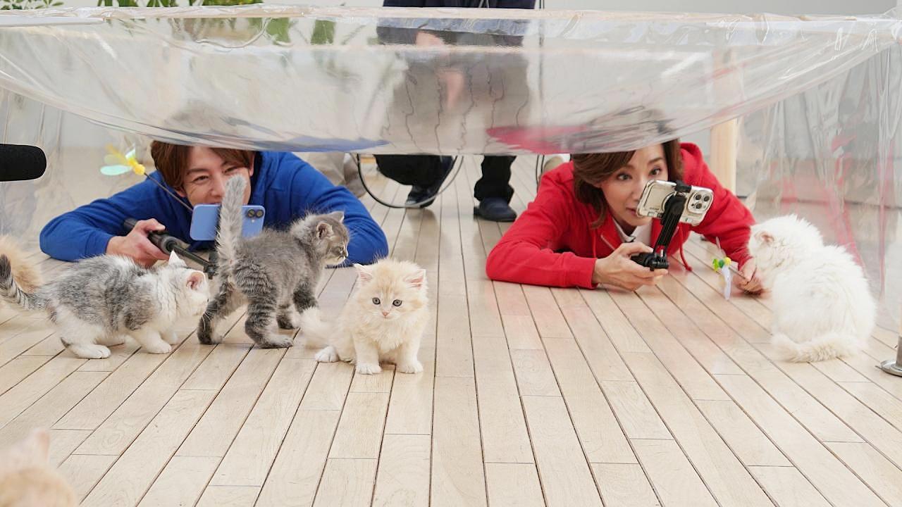 真琴つばさが語る 愛猫・アビィとの絆「猫には“癒やしや幸福感”だけ