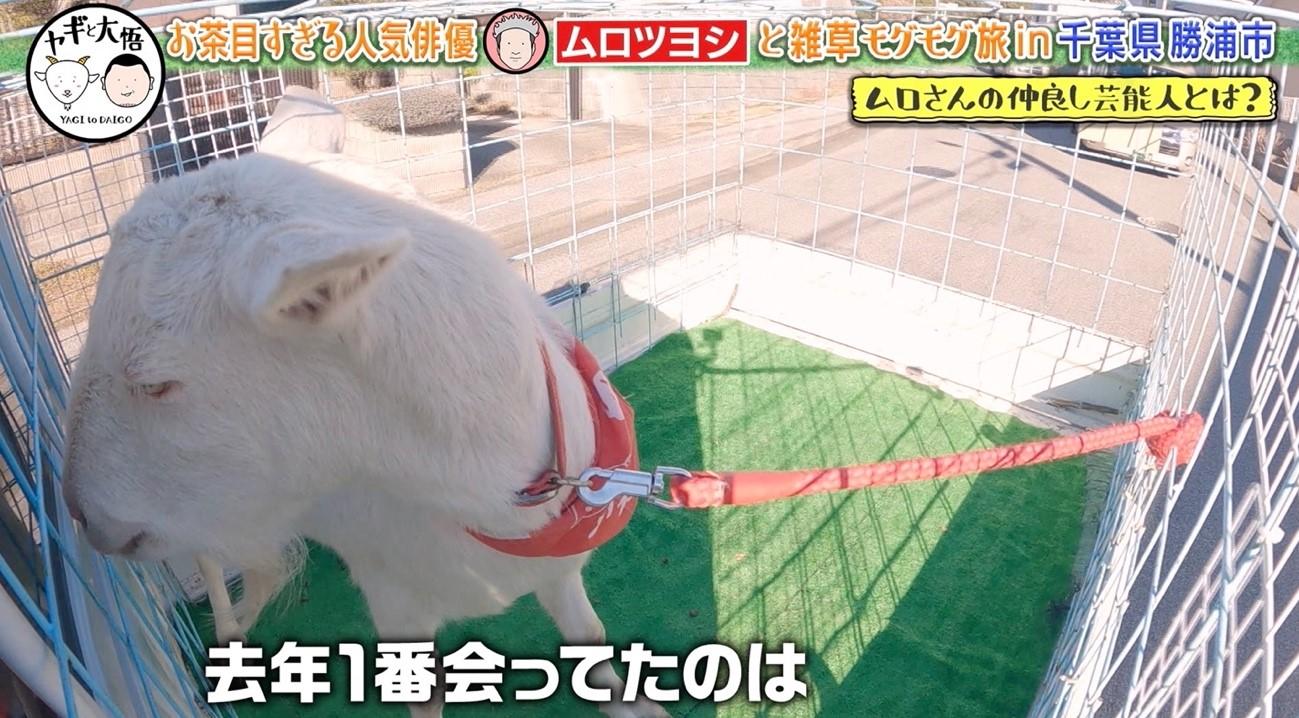 小栗旬くんの家で…」ムロツヨシ、豪華すぎる芸能界交友事情を告白