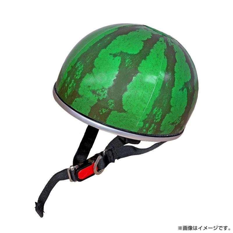 スイカメットが当たる！？『出川哲朗の充電させてもらえませんか