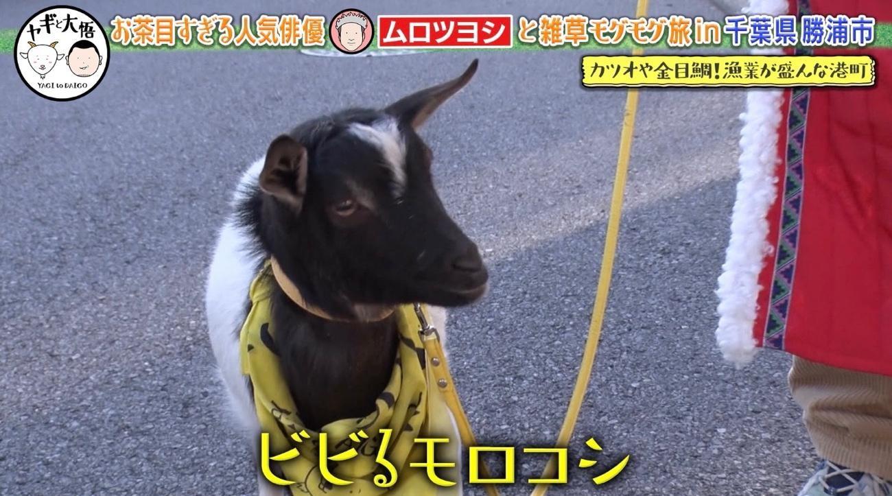千鳥・大悟＆ムロツヨシが理想のおっさんずデート♡しかし…重大発表に