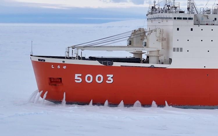5カ月の長旅…南極観測船「しらせ」取材Dが明かす“密着の舞台裏” | テレ