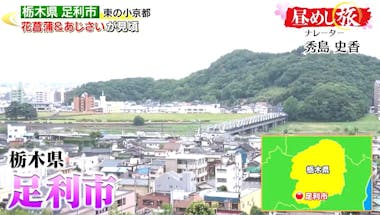 足利　人妻 老舗が教える納豆を混ぜる回数は？ショウガやニンニクたっぷりのスタミナ料理も続々登場！ | テレ東・ＢＳテレ東の読んで見て感じるメディア テレ東プラス