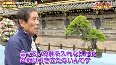 番組史上最大級の進化！盆栽鉢の巨匠に弟子入りしたティベリオさんの今