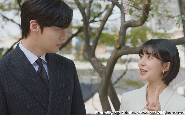 新品 本物(チンチャ)が現れた!〜まさか結婚するなんて〜 DVD-BOX3 / (7DVD) TCED7395-TC 新品未開封☆ 本物(チンチャ)が現れた！～まさか結婚するなんて～ DVD