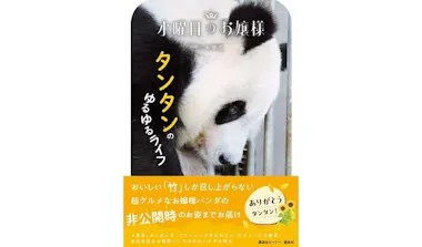 ☆タンタン様専用ページです☆ （パンダも思ったことが顔に出る？神戸 