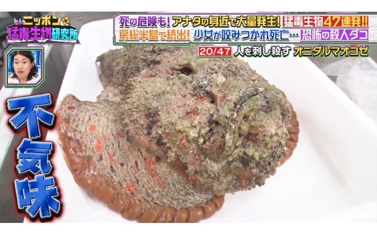 27f4297c27c2388b4cc020eb456e.