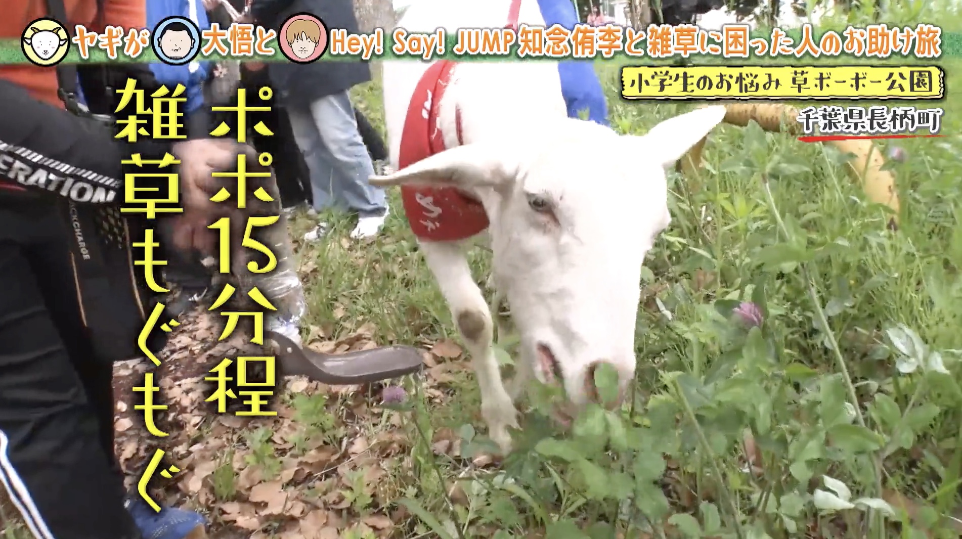 M－1狙っちゃう！？千鳥にも負けない息ピッタリの掛け合い！今回の追い