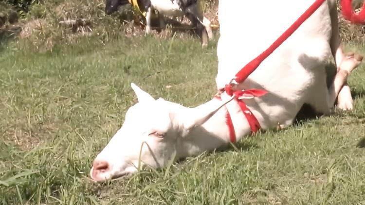 ★非売品★磯村勇斗　カード① VS Sassoon 実力派俳優・磯村勇斗、30歳を記念した最新写真集が発売決定