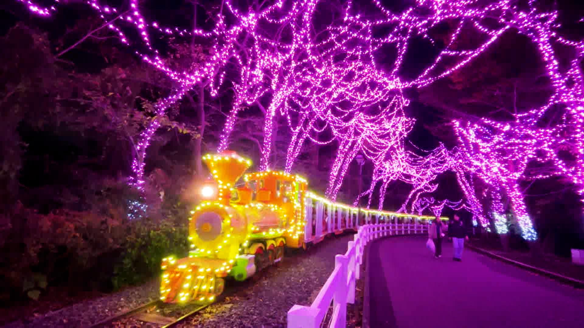 クリスマス直前！車で行きたい！関東イルミネーションの名所 | テレ東