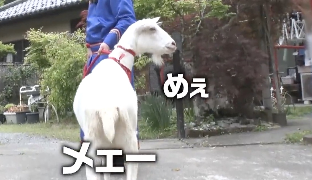 M－1狙っちゃう！？千鳥にも負けない息ピッタリの掛け合い！今回の追い