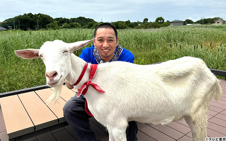 ヤギと大悟」2時間SPが決定！ゲストは相武紗季＆北山宏光！ | テレ東