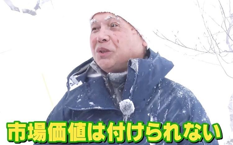 レア 超貴重　入手困難　珍しい雪降り水晶　中国四川省産 24cc4966b49b313295d292596fb6.