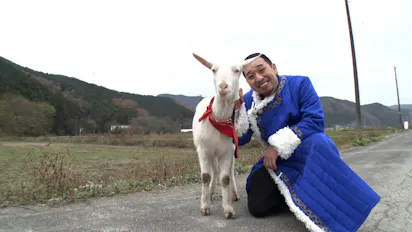 前代未聞⁉ヤギが主役の旅番組！千鳥・大悟がヤギと雑草モグモグ旅
