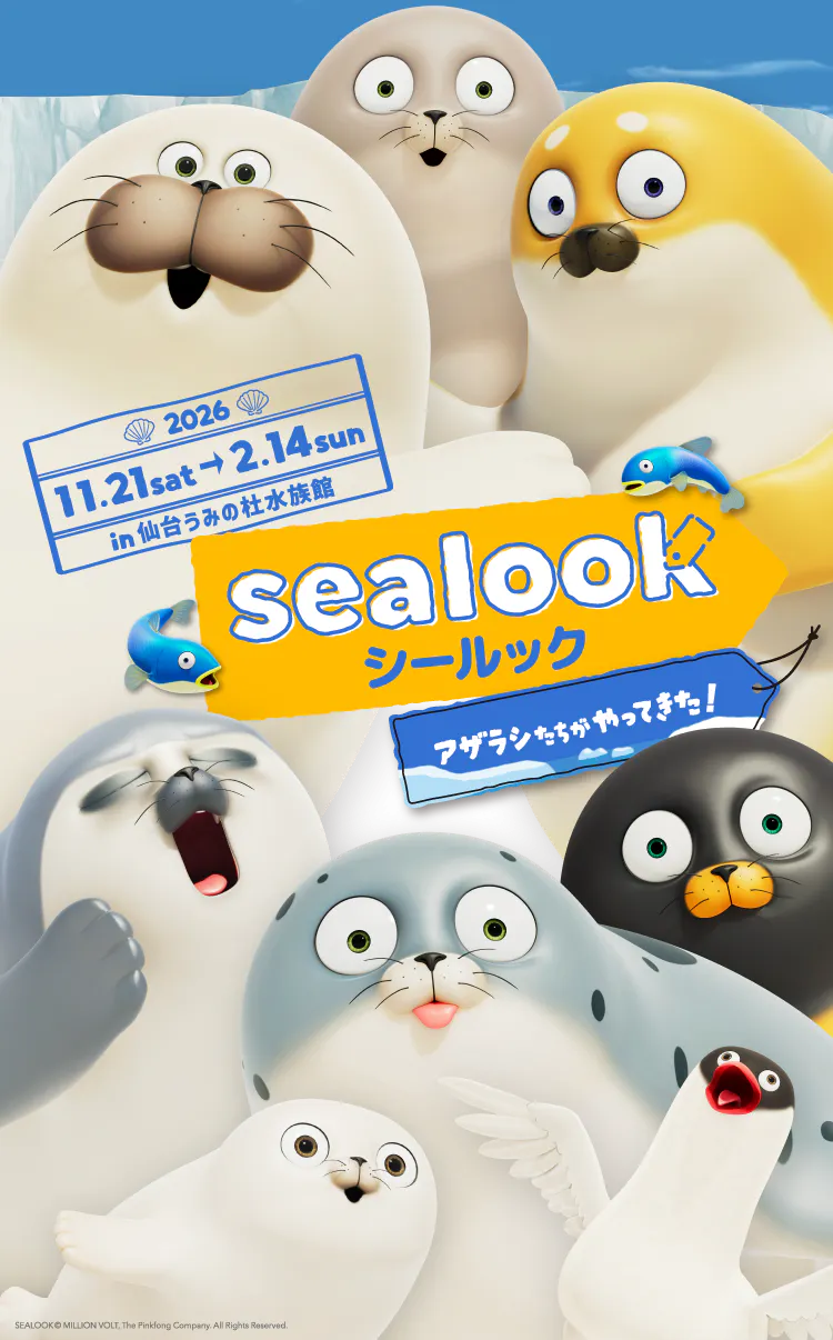 SEALOOK」日本初！水族館とのコラボが決定！仙台うみの杜水族館にて